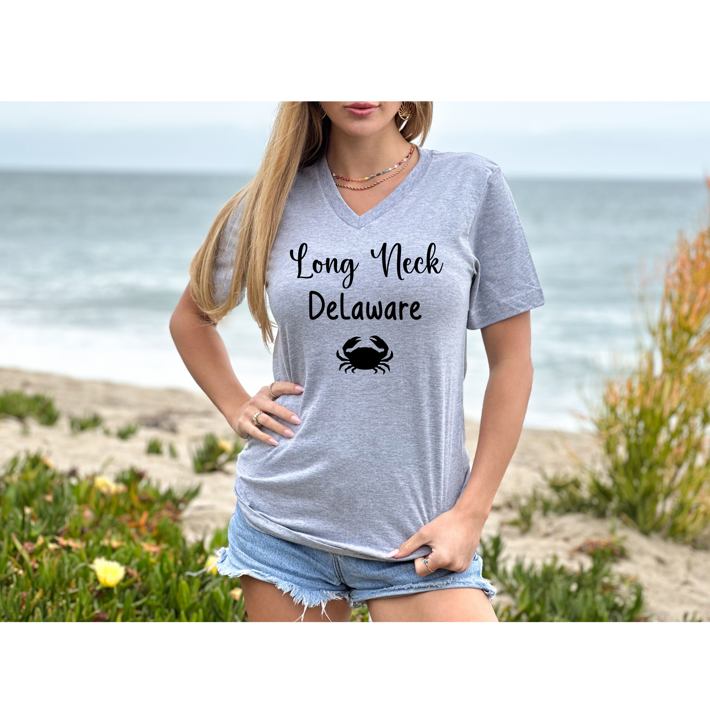 Long Neck Delaware V-Neck Tee, Unisex