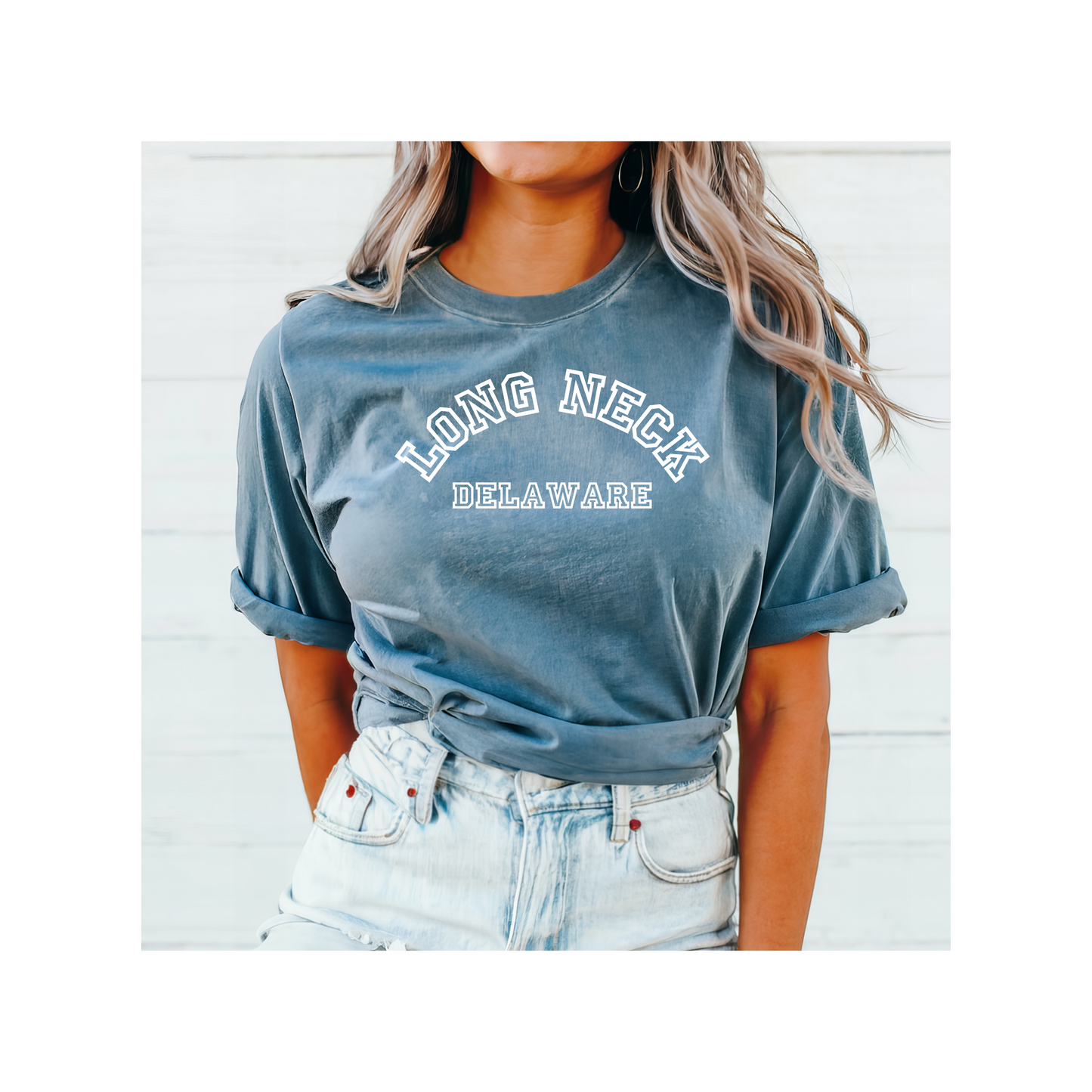 Long Neck Delaware Tshirt